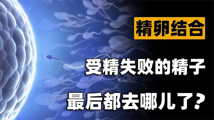 上亿精子进入女性体内，为了和卵细胞结合有多拼？最后只能活一个 - 天天要闻