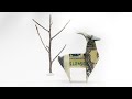 Money $1 US Dollar Bill Origami Deer - Dollar Bill origami Tutorial - Designed by John Montroll