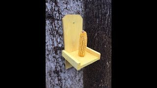 DIY: Build a Squirrel Feeder