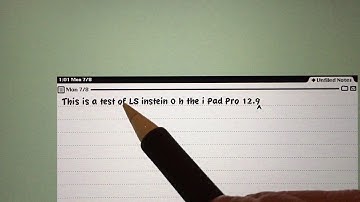 Newton Messagepad Einstein Emulator on iOS iPad Pro 12.9" Testing Performance