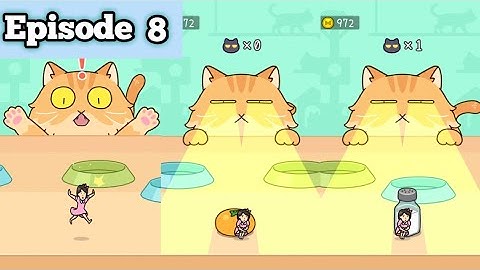 Hide and seek cat escape 8 #livegaming #live