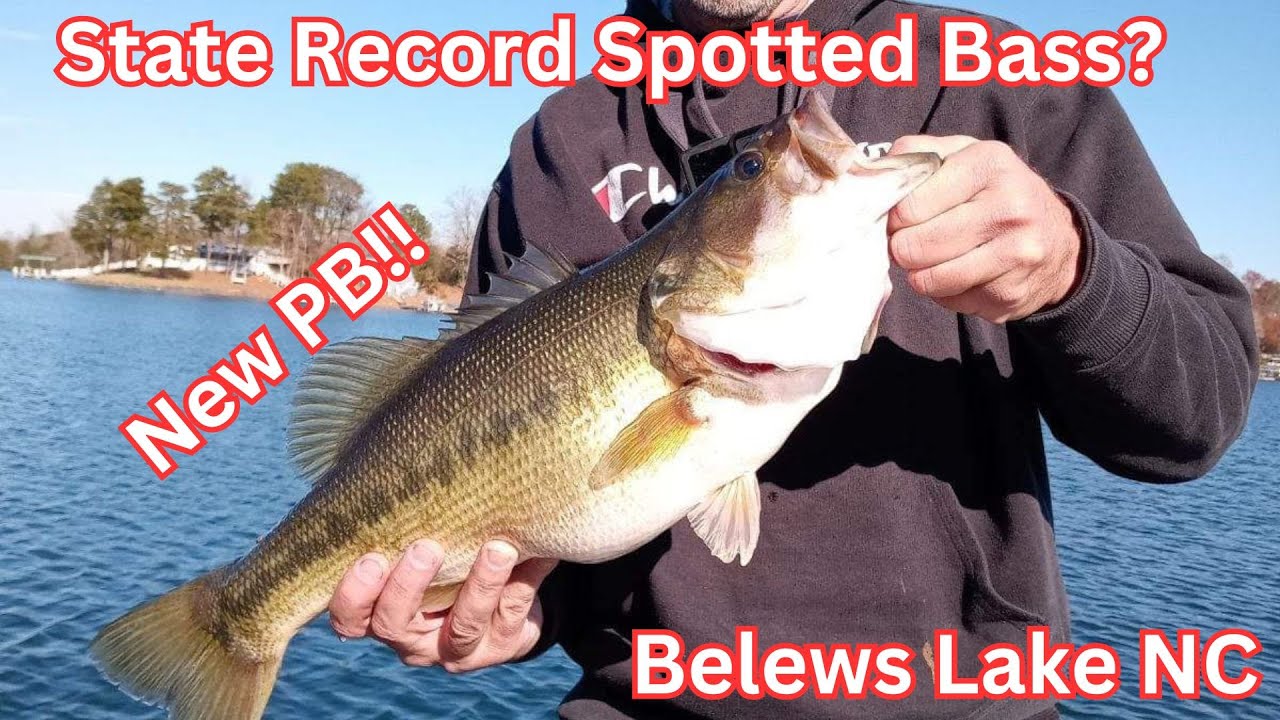 World Record Spotted Bass Caught - Bassing Bob