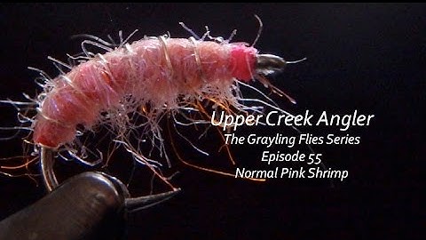 Grayling Flies  Episode 55  Normal Pink Shrimp