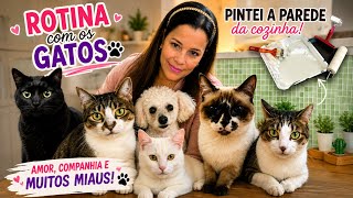 Real life routine: 5 cats, 1 puppy and a kitchen remodel!