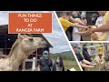 FUN THINGS TO DO AND SEE AT RANGER FARM,SARA,  ILOILO