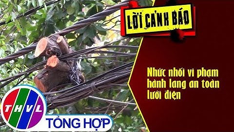 Nhức nhối vi phạm hành lang an toàn lưới điện