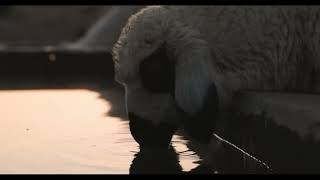 Yerüstü Yeraltı fragman