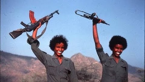 Eritrea: A Timeline Of Our Struggle For Independence