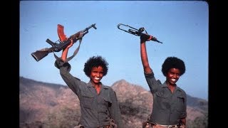 Eritrea: A Timeline Of Our Struggle For Independence