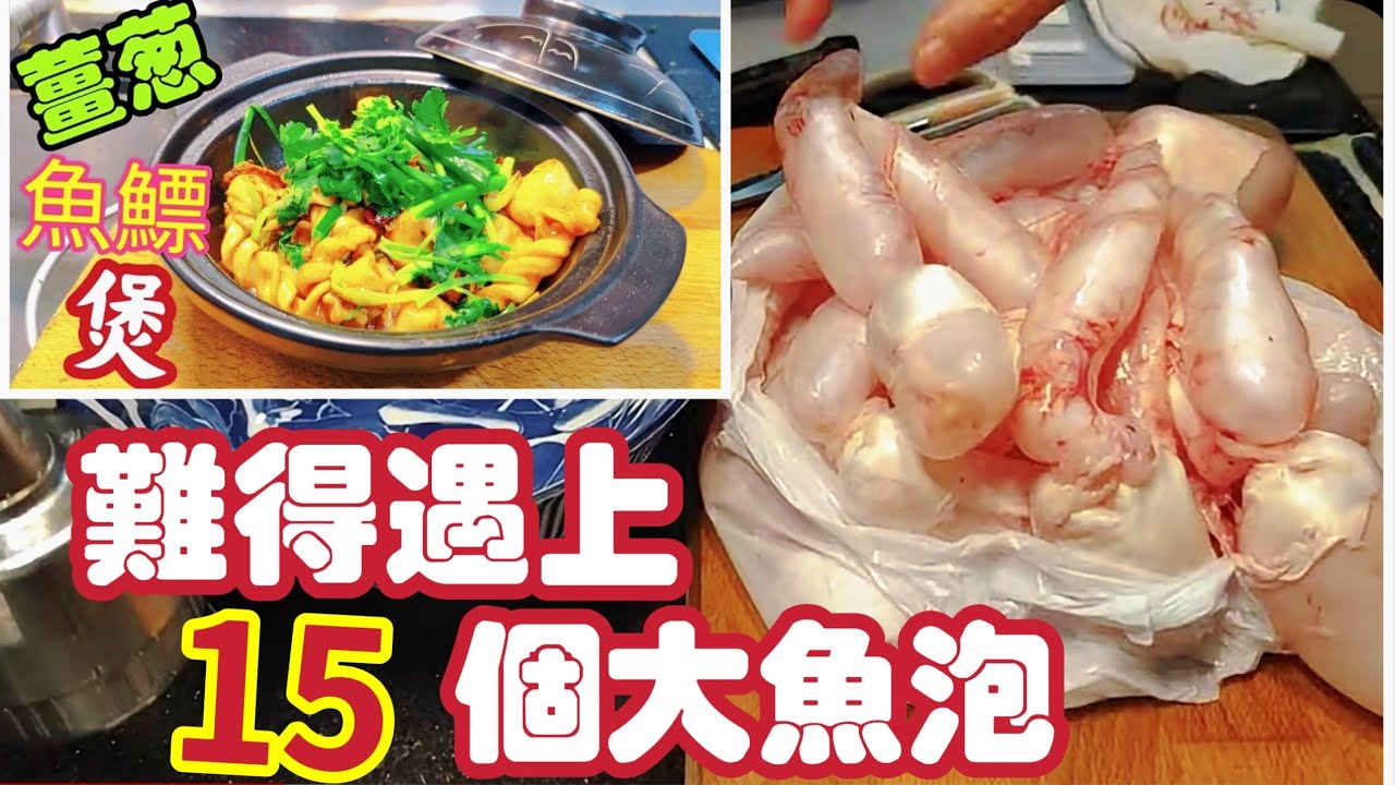 〈職人吹水〉市場罕有/難得遇上15個大魚泡/魚鰾煲//薑蔥魚鰾煲/秋冬時令煲仔菜/出街畀錢都食唔到/絕對私房味道當中技巧 / @Singsingkitchen
