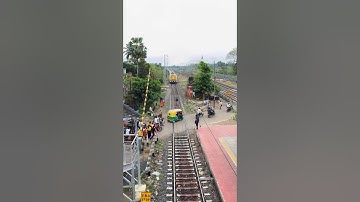 Emu skip Railgate #shorts