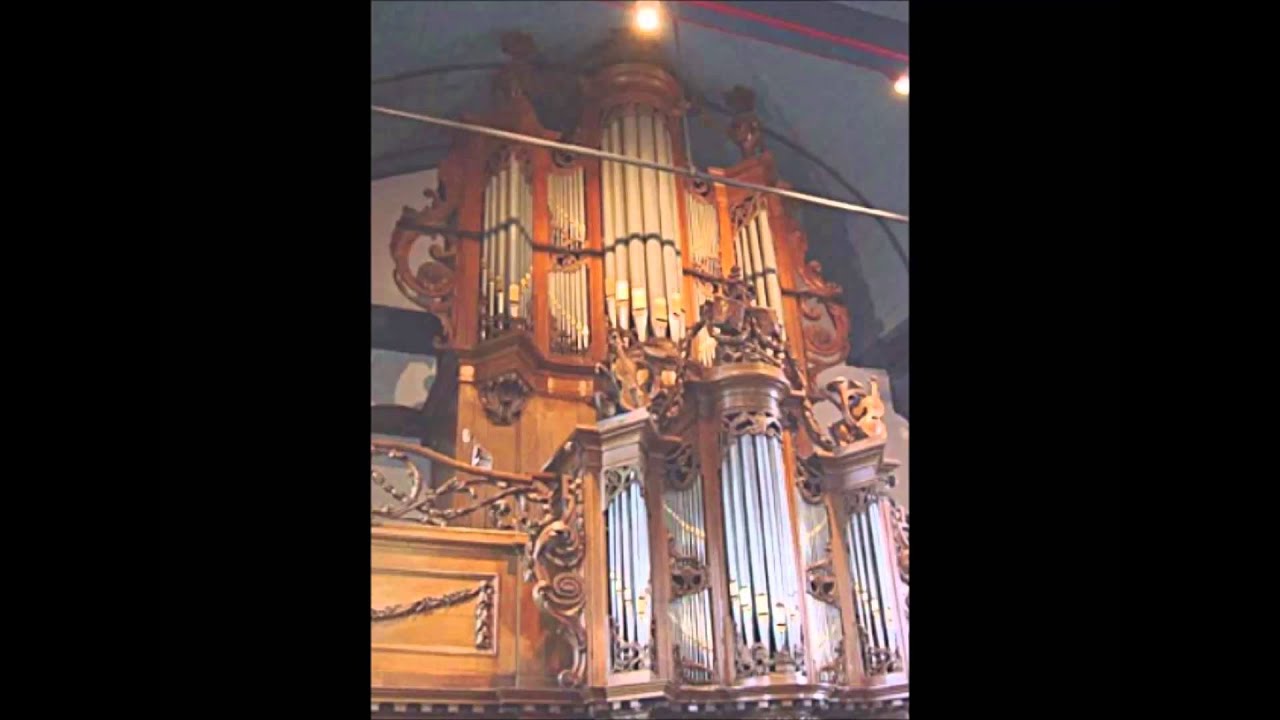 Langweer orgel van Dam 1784  Jos van der Kooy 29-07-2009  1/1