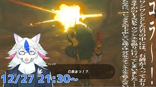 【ゼルダの伝説 ティアーズ  オブ ザ キングダム #16】やばい勇者のLINK TV.【ケモノ系Vtuber】