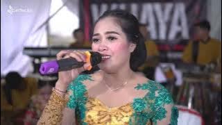 CAMPURSARI PUTRA WIJAYA LIVE DAWUNG KISMANTORO - PERNIKAHAN  ARIP & ERLINA - NUGROHO AUDIO PART II