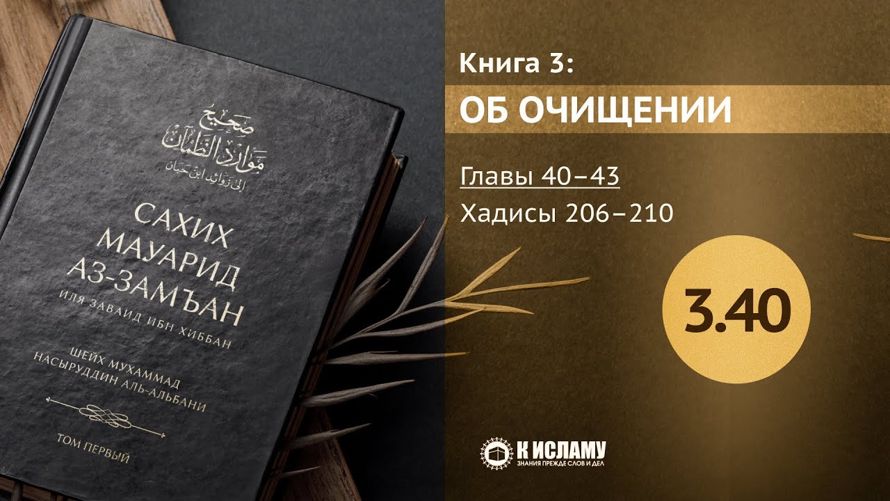 Главы 3.40–3.43. О том, кто помочился в мечети. Хадисы 206–210. Сахих Мауарид аз-Замъан