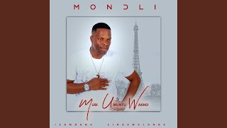Download lagu Mondli_INGQWELE