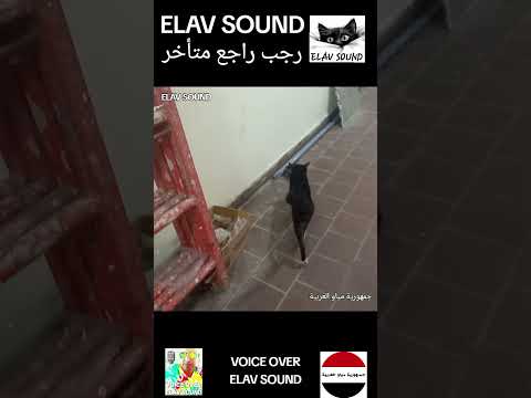 #جمهورية_مياو_العربية #رجب_راجع_متأخر #رجب_نص_شنب #رجب_خطب_نبوية #رجب #elav_miaw #android #ios