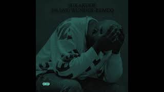 Sukakude [Prawd Wunder-Remix] ~ Kelvin Momo, Babalwa M \u0026 Sfarzo Rtee