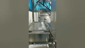 Delta robot spider arm sorting machine for pouch