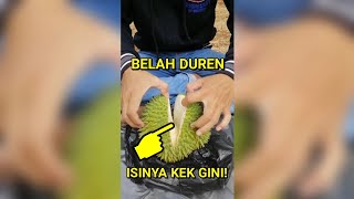 Belah Duren Di Taman Durian Teste