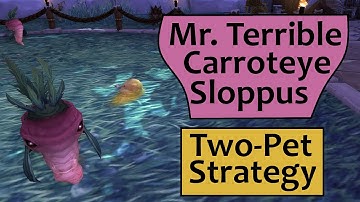 Mr. Terrible, Carroteye and Sloppus: 2 Pet Strategy