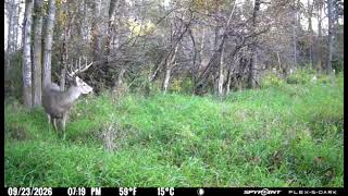 Impressive Mature Buck Shows Up on Camera | 2026 Rut Report Presented by SPYPOINT