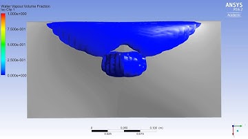 3D Twist11 (modified) Cavitation Simulation Top View