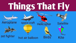 Things That Fly In The Skylearn The Name Of Different Things That Fly In The Sky
