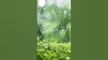 محمد ايوب قران كريم بصوت جميل جدا وهادي #اكسبلور #المصحف #لايك