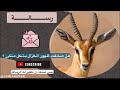 هل تتساءل ما الذي يعنيه كثرة ظهورها بشكل مكرر في يومك أهم رسائل رؤية الغزالة 