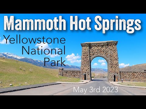 Mammoth Hot Springs May 3rd 2023. A scenic driving video of the Mammoth hot springs area.