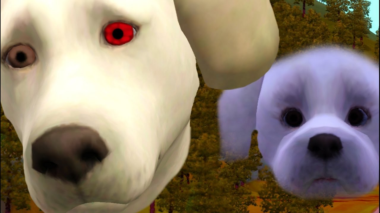 The Curse Halloween Special (Sims 3 dog story) YouTube