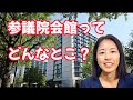 【参政党さくらいしょうこ】参議院会館ってどんなところ?国会っていつ開かれるの?