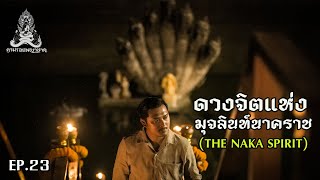 ตามรอยพญานาค EP.23 ดวงจิตแห่งมุจลินท์นาคราช THE NAKA SPIRIT  พระธาตุบังพวน จ.หนองคาย