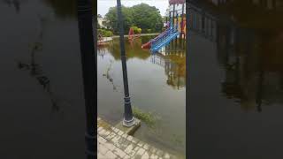 Dha park full of water rain ☔🌧️ rain rain go away #rain #rainraingoaway   #viralvideo