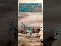 人間が家畜化できなかった動物【シマウマ】 #shorts