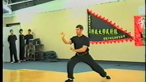Hung Gar -  Mui Fa Kuen (洪拳 - 梅花拳)