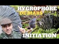 Hygrophore de mars  initiation au 1er champignon 2024 cpes 2024 cpes champignons hygrophore