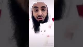 حكم بيع القطط والكلاب اجلكم الله