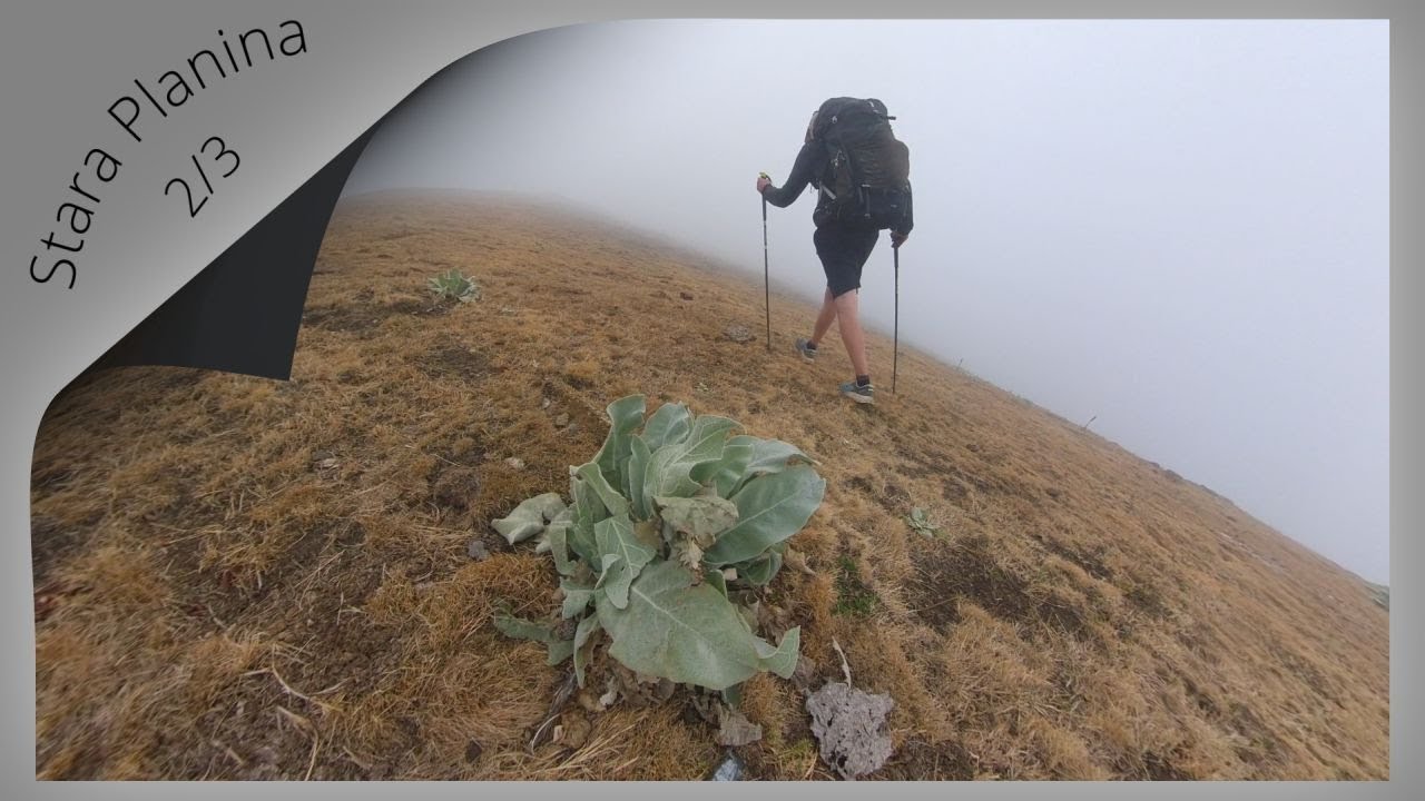 Stara Planina (Kom-Emine) ... 2/3  ... Murgash hut - Kozya Stena hut