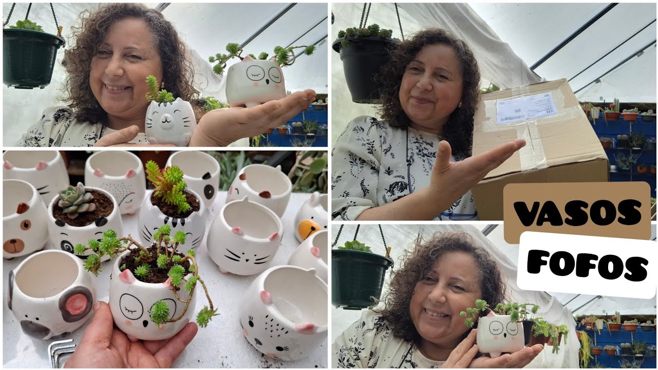 COM VASOS FOFOS SUAS SUCULENTAS FICAM AINDA MAIS BELAS.