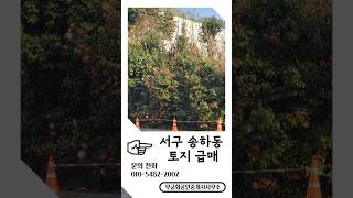 [급매] 광주 송하동 실투자 2억대! 3층 건축 가능｜상가부지 추천 #급매 #급매물