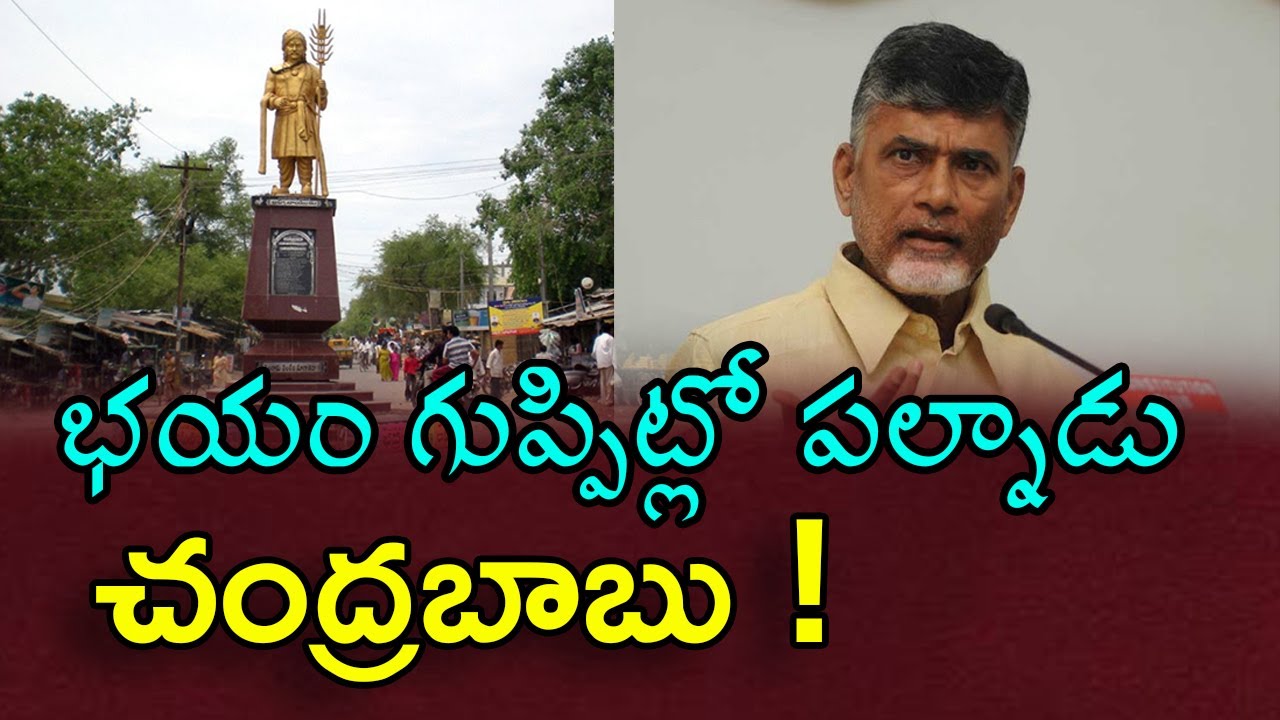 what-happens-in-palnadu-chandrababu-youtube