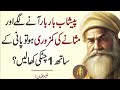 Islamic Best Quotes About Life | Sunhary Haroof Urdu | Best Aqwal e zareen | golden words in urdu