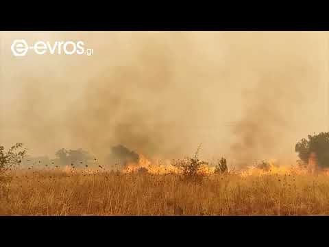 (12:30) Πύρινο μέτωπο συνεχίζει να καίει περιμετρικά του χωριού Γιαννούλη