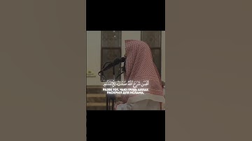 ما تيسر من سورة الزمر بصوت القارئ محمد اللحيدان 🌷 #قرآن