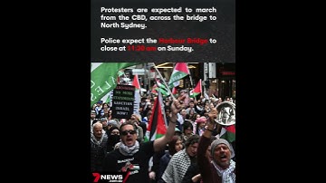 Thumbnail of NSW Supreme Court allows Pro-Palestinian march over the Harbour Bridge | 7NEWS