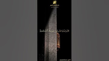 تلاوة مبكية 😢 للشيخ #ياسر_الدوسري من سورة "طه" | #تلاوات #قرآن #اكسبلور #السعودية #راحة_نفسية #آية