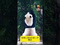 楓ちゃんも、すっかり大きくなりましたね😊