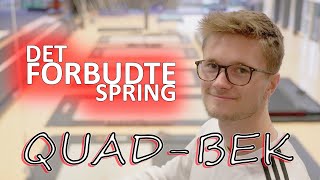 Det Forbudte Spring